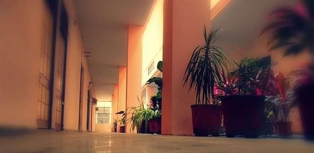 Deen_Dayal_(PG)_College